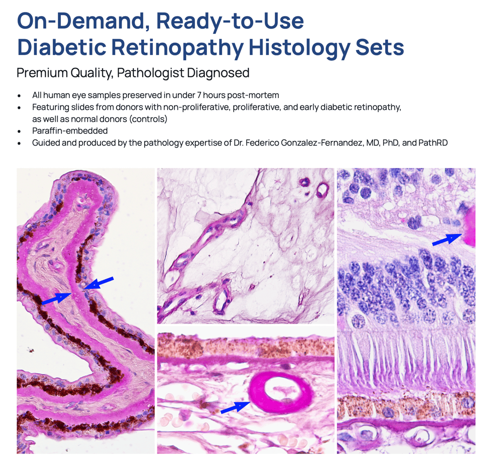 Screenshot 2026-04-17 at 9.49.34 AM